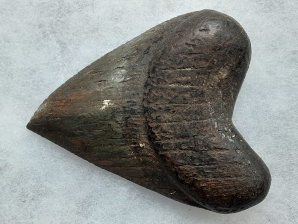 Carved Shark's Tooth