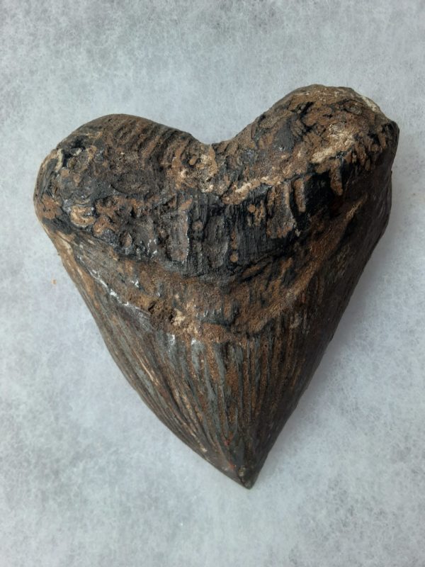 Carved Shark's Tooth - Image 2