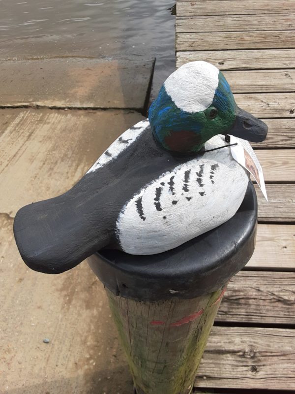 Fall Hill Bufflehead Duck Decoy