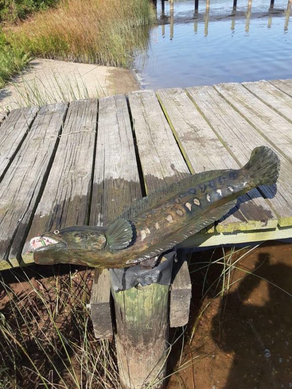 Snakehead fish from 1854 crib dam - $725